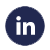 icona linkedin